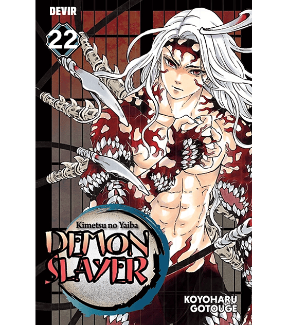 Demon Slayer 22