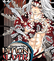 Demon Slayer 22