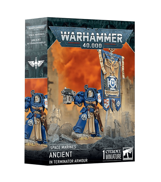 Space Marines: Ancient in Terminator Armour