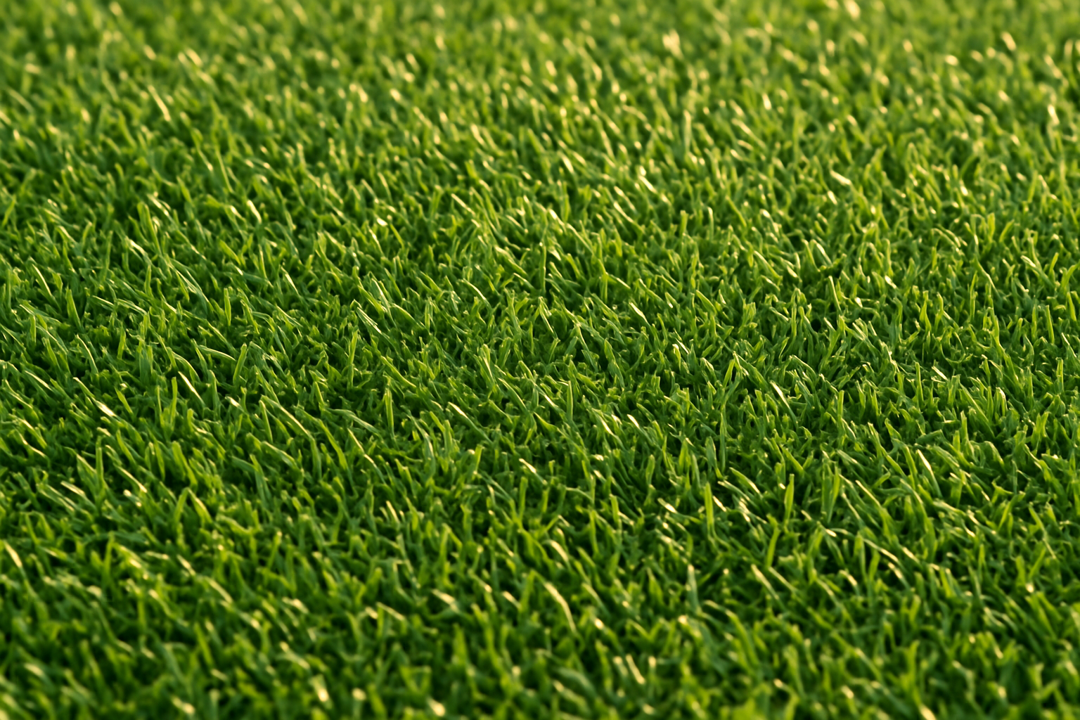 Pasto Artificial para Aeropuertos: Seguridad y Eficiencia con All Victory Grass