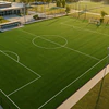 Vigor Genius: El Pasto Sintético FIFA Quality de All Victory Grass