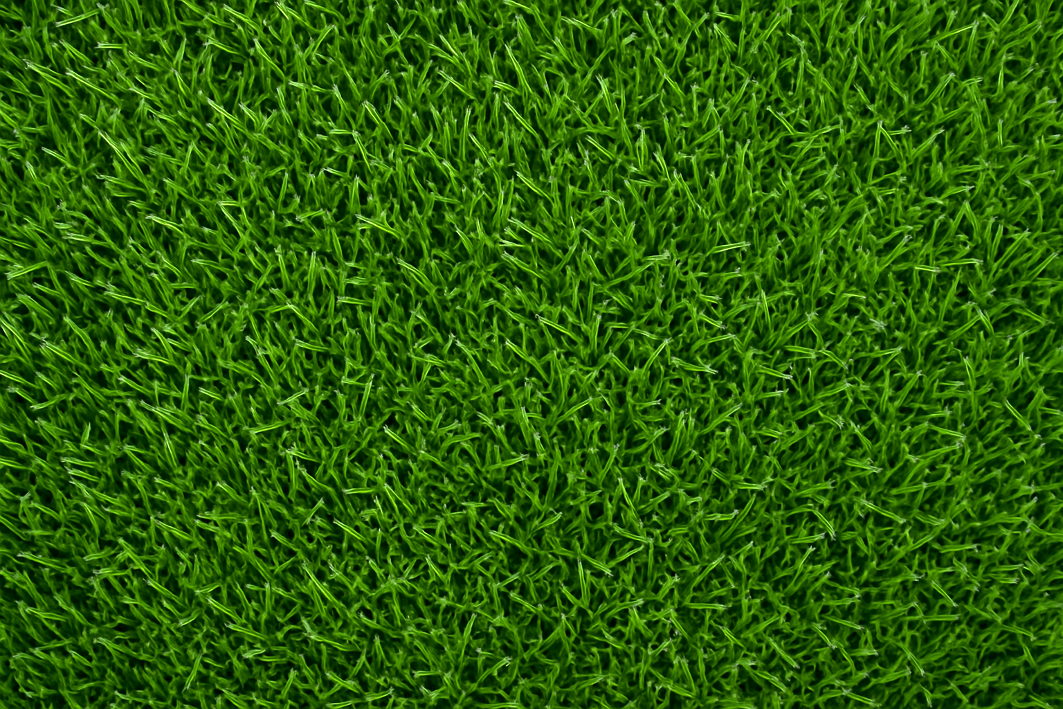 Vivaturf y su pasto artificial resistente