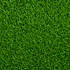 Vivaturf y su pasto artificial resistente