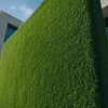 Pasto Sintético Popular de Torchgrass: Soluciones Decorativas Innovadoras