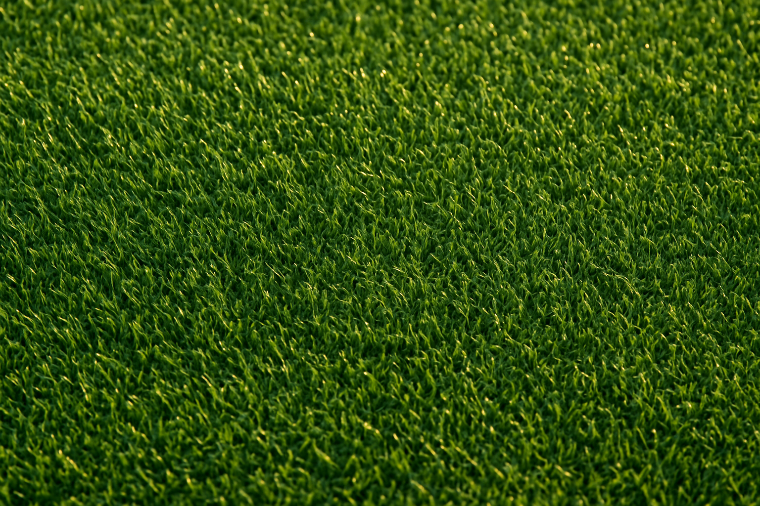 Césped Artificial Barato de Calidad: All Victory Grass