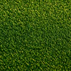 Césped Artificial Barato de Calidad: All Victory Grass