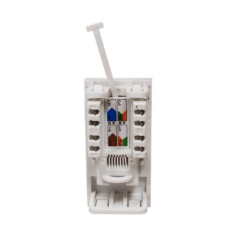 Conector Keystone UTP CAT6 RJ45, Para Placa Frontal do UK, 25 mm * 50 mm 3