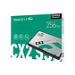 Disco ssd CX2 3D Nand SLC Caching 256BG - Thumbnail 1