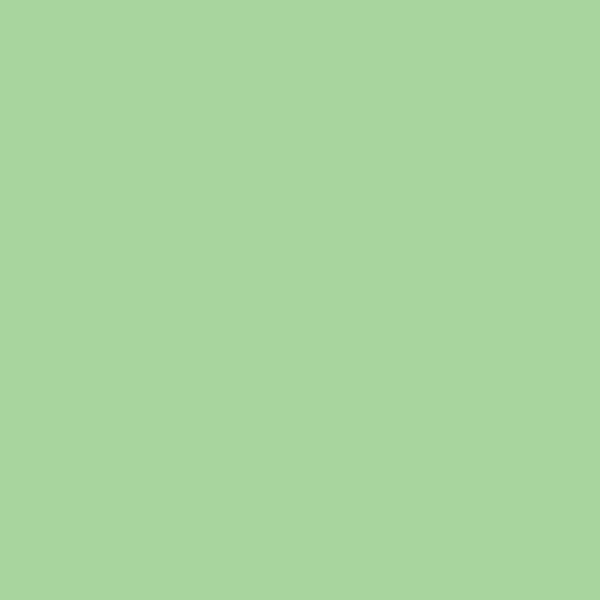 Savage Fondo de Papel #40 Mint Green (2,72x11m) - Image 1