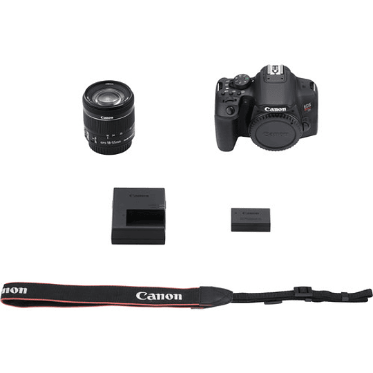 Canon EOS Rebel T8i DSLR Kit de Cámara con Lente 18-55mm f/4-5.6 IS STM - Image 9