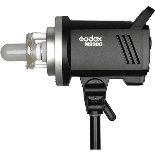 Godox MS300-F Kit de 2 Monolight + 2 Stand + 2 Softbox y Bolso - Image 6