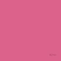 BD Company BD-163-A-1 Fondo de Papel Hot Pink (2.72x11m)