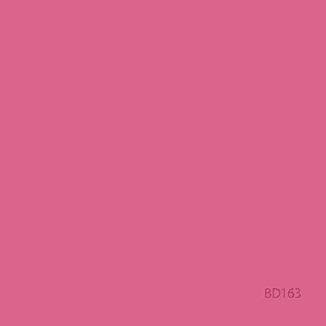 BD Company BD-163-A-1 Fondo de Papel Hot Pink (2.72x11m)