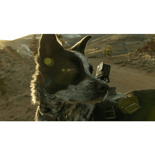 GoPro HERO Cámara de Acción Compacta / CHDHF-131-AS - Image 9