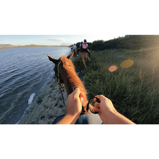 GoPro Head Strap 2.0 Correa para Cabeza + QuickClip / ACHOM-002 - Image 7