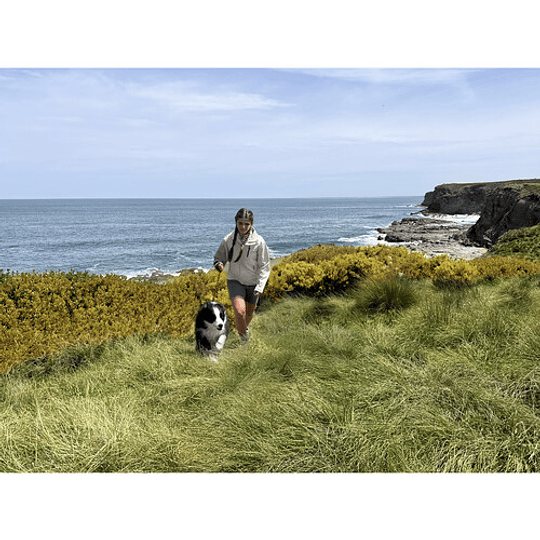 DJI Osmo Mobile 7 Smartphone Gimbal / 1000009060 - Image 8