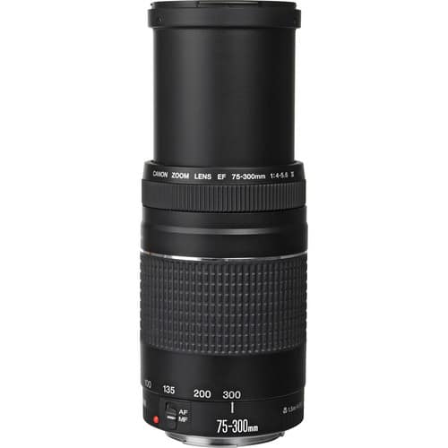 CANON ZOOM LENS EF 75-300mm 1:4-5.6 Ⅱ　良品 Lente Canon EF 75-300mm f/4-5.6 III