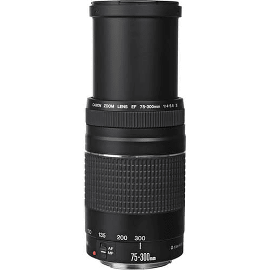Canon Lente EF 75-300mm f/4-5.6 III - Image 2