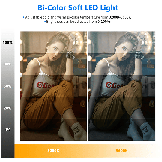 Neewer NL-192AI LUZ DE PANEL PLANO DE 40W CON SOPORTE DE LUZ / 10099293 - Image 6