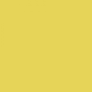 BD Company BD-193-A-2 Fondo de Papel Light Yellow (1,35x11m) 