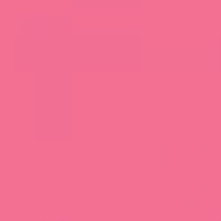 BD Company BD-163-A-2 Fondo de Papel Hot Pink (1,35x11m) 