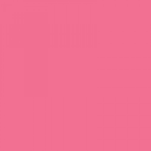 BD Company BD-163-A-2 Fondo de Papel Hot Pink (1,35x11m) 