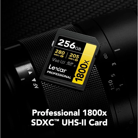 Lexar 256GB Professional 1800x UHS-II SDXC V60 GOLD Tarjeta de Memoria SD / LX20006 - Image 5