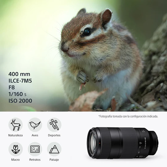 Sony FE 100-400mm f/5.6-8 OSS Lente para Sony E / SEL100400 - Image 5