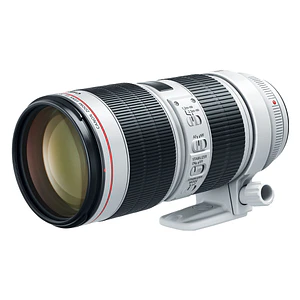 Canon EF 70-200MM f/2.8L IS III USM / 3044C003