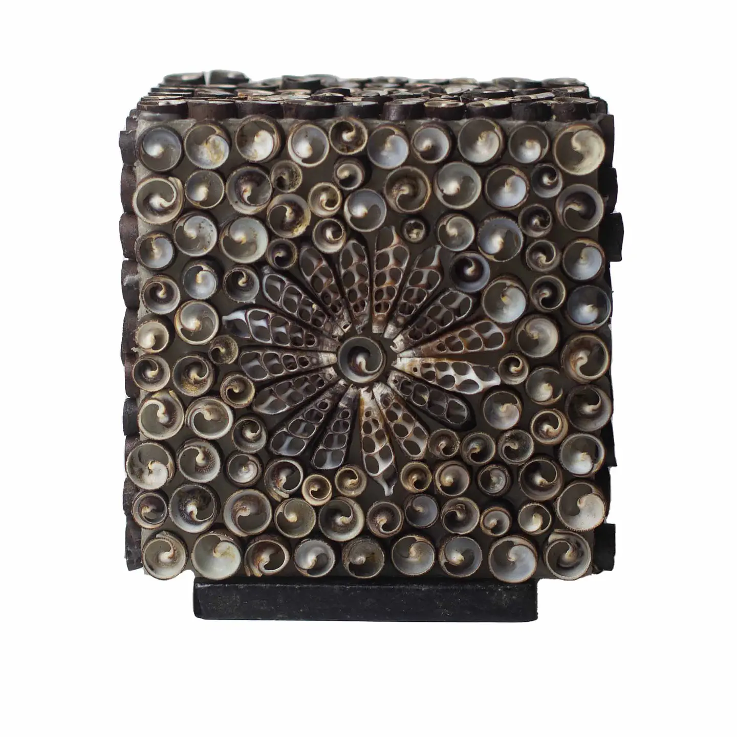 Candeeiro Boho Artesanal com Conchas Marinhas Naturais - Quadrado Chocolate Twist 4