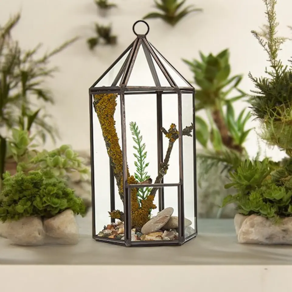 Terrário de Vidro - Lanterna (9.5x9.5x20 cm) 1