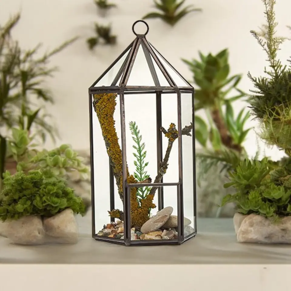 Terrário de Vidro - Lanterna (9.5x9.5x20 cm) 2