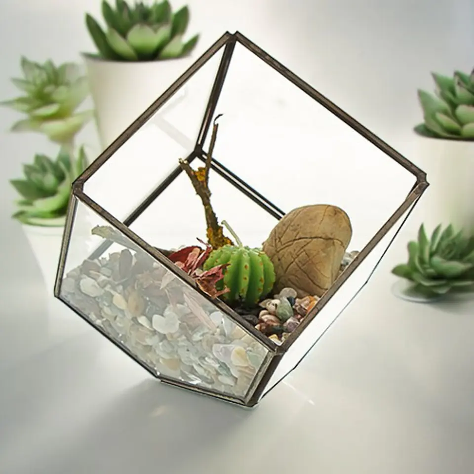 Terrário de Vidro - Cubo de Canto  1