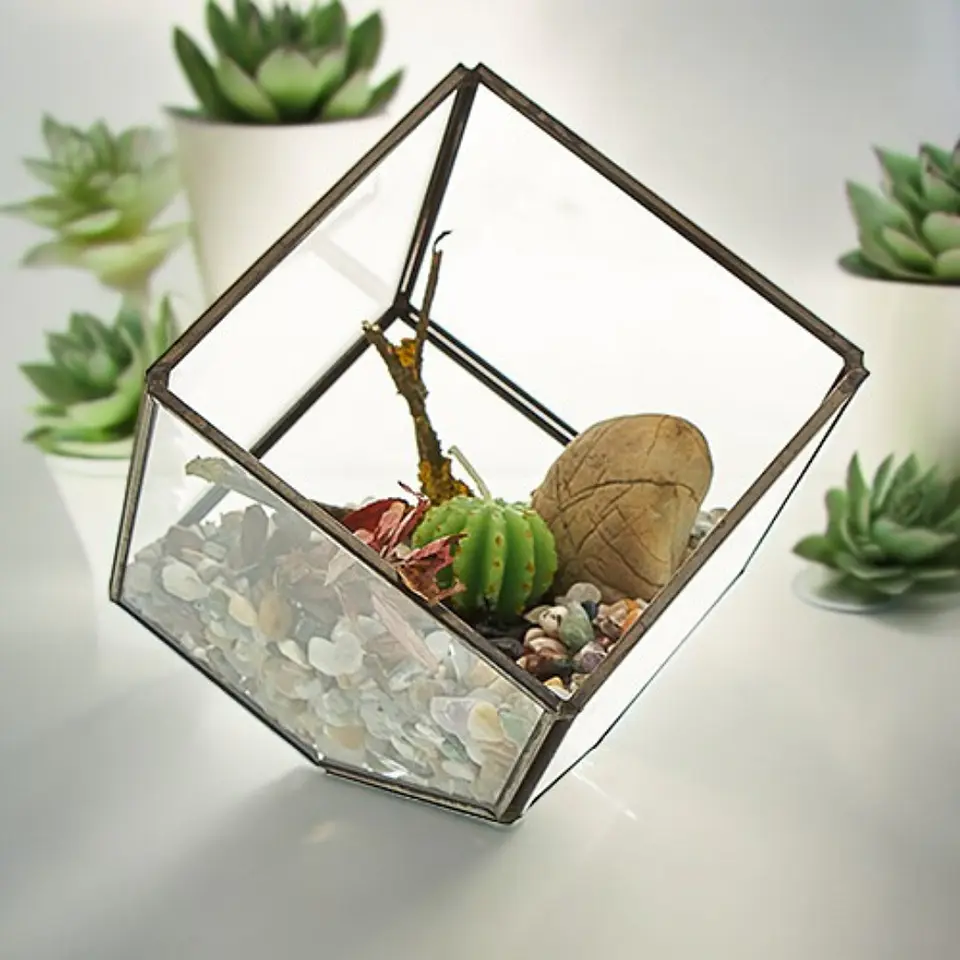 Terrário de Vidro - Cubo de Canto  2