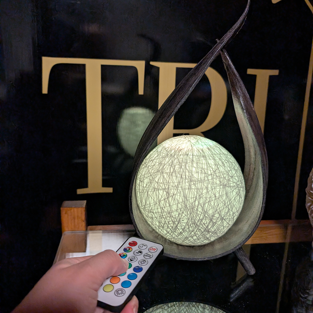 Candeeiro de Coco Natural Albesia (Lâmpada LED RGB com Comando) 2