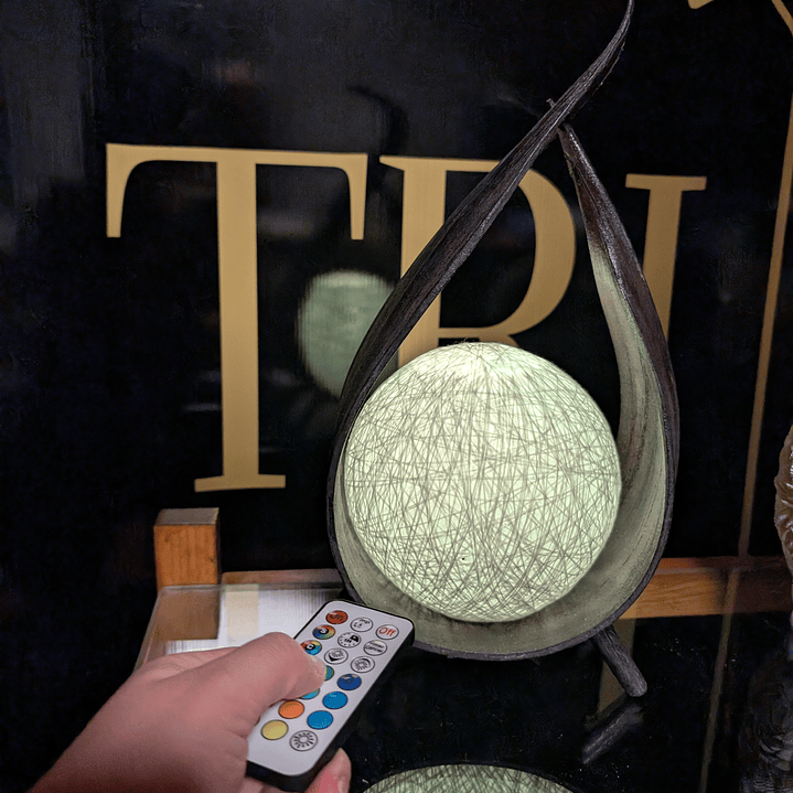 Candeeiro de Coco Natural Albesia (Lâmpada LED RGB com Comando) 2