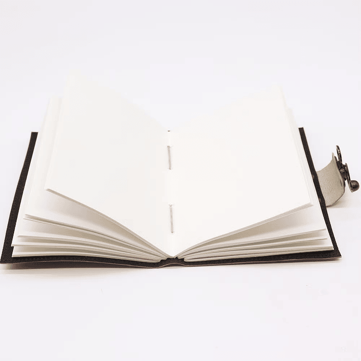 Diário de Viagem em Couro 2