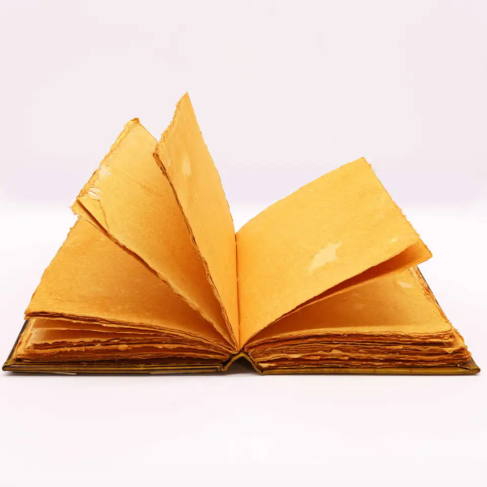 Livro de Café Bronzeado - Decoração Coruja em Zinco 2