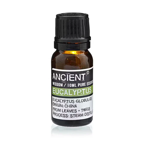 Eucalipto Globulus  10 ML– Essência Aromática de Destilação Integral