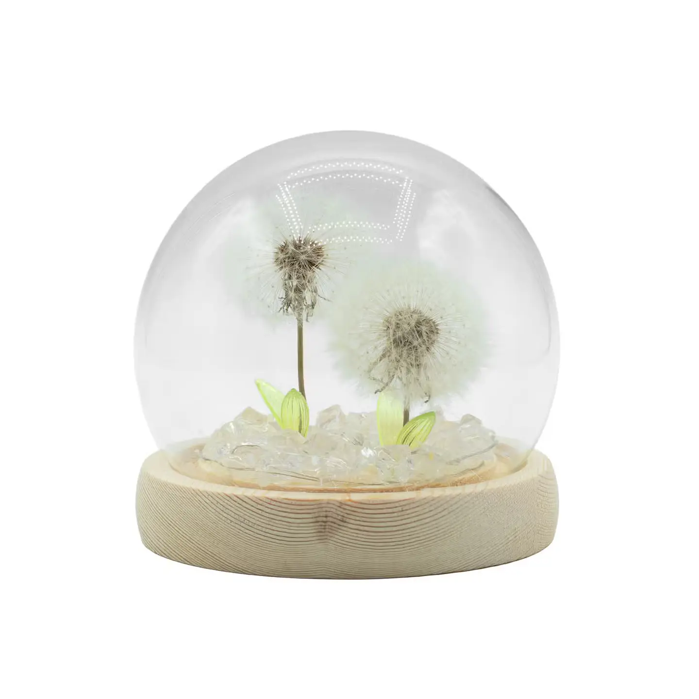 Candeeiro Floral em Cúpula de Vidro com 2 Dentes-de-Leão LED USB 2
