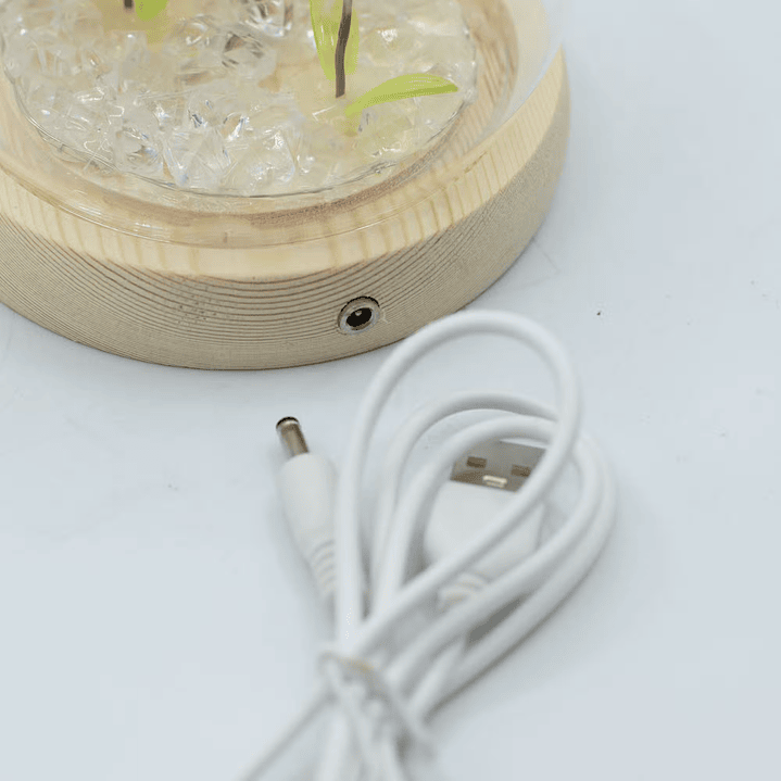 Candeeiro Floral em Cúpula de Vidro com 2 Dentes-de-Leão LED USB 3