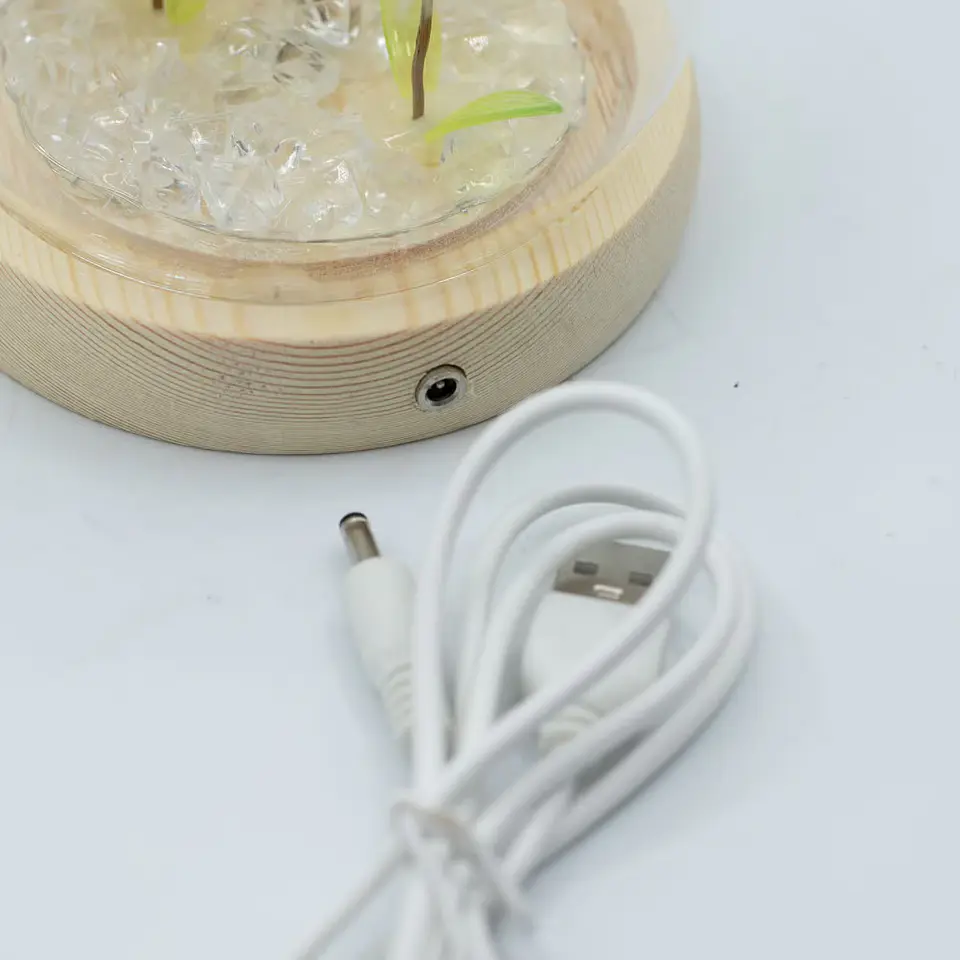 Candeeiro Floral em Cúpula de Vidro com 2 Dentes-de-Leão LED USB 3