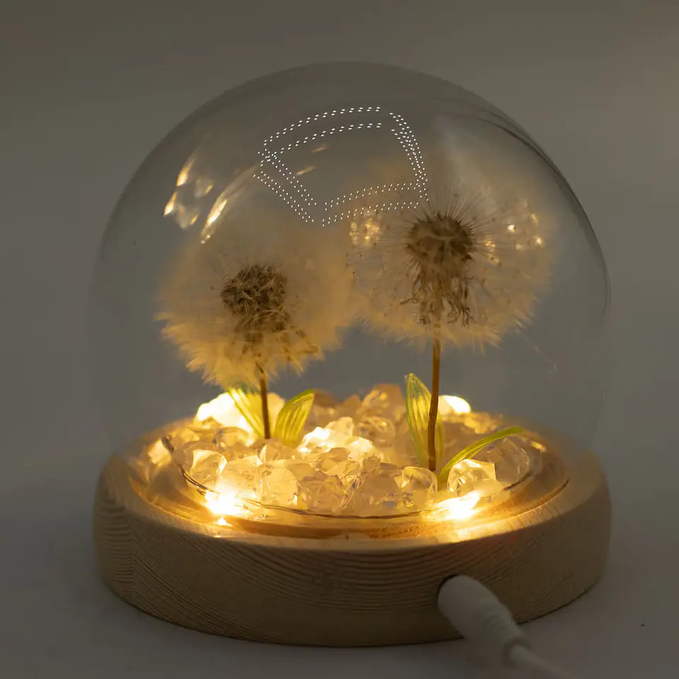 Candeeiro Floral em Cúpula de Vidro com 2 Dentes-de-Leão LED USB 1