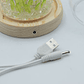 Candeeiro Floral com Glitter em Cúpula de Vidro – 20 Tulipas LED USB - Thumbnail 3