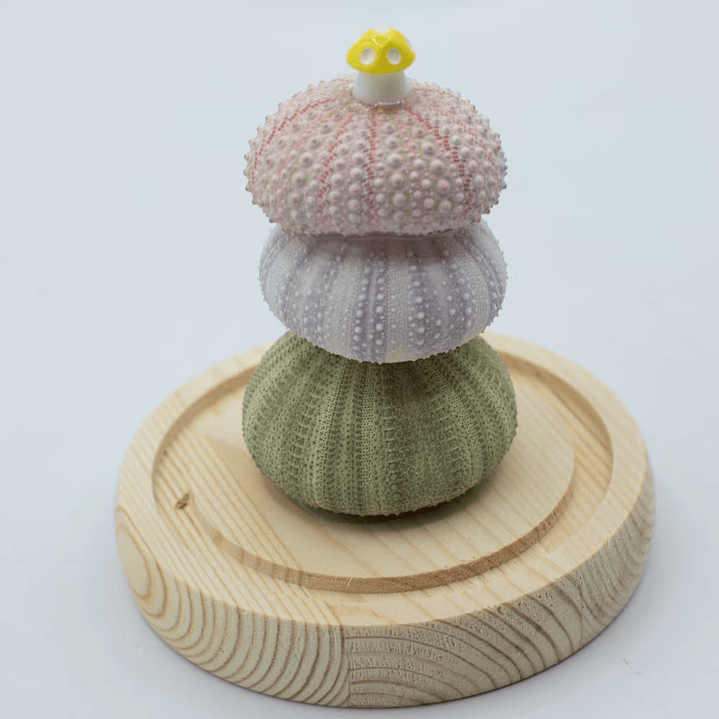 Candeeiro Escultural em Cúpula de Vidro – 3 Ouriços-do-Mar LED USB 2