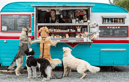 Demanda de golosinas gourmet para mascotas