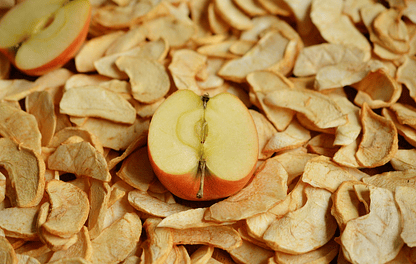 How to dehydrate apples with TROCKNNER dryers