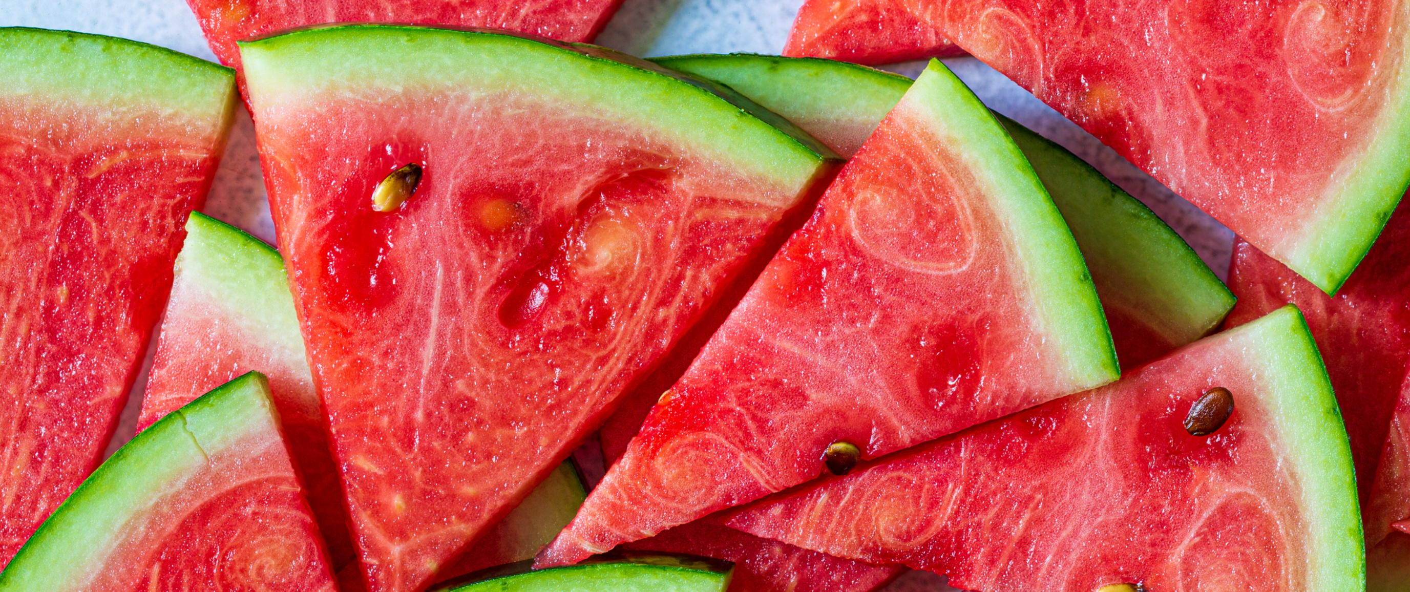 Watermelon drying | TROCKNNER fruit dehydrator