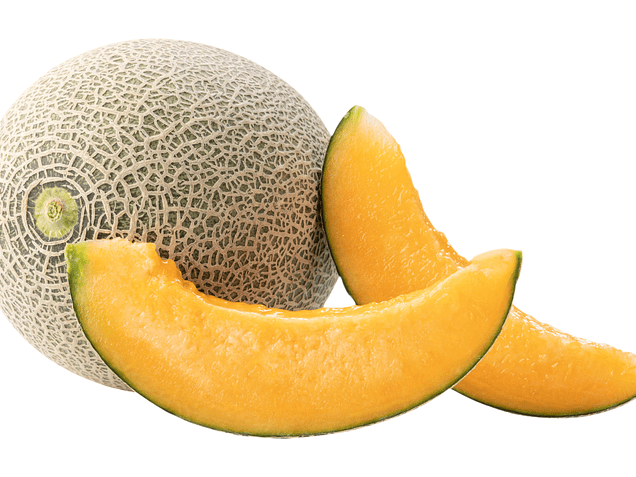 Secado de melón | Deshidratador de frutas TROCKNNER