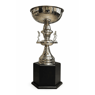 Copa Ref. Nacional 10